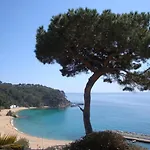 Levantina 10 *