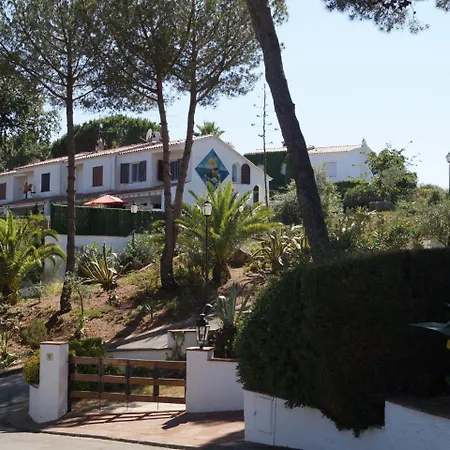 Levantina 10 료렛 드 마르